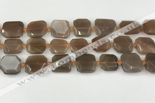 CNG8811 15.5 inches 16mm - 20mm faceted freeform moonstone beads