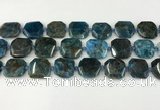 CNG8821 15.5 inches 16mm - 20mm faceted freeform apatite beads