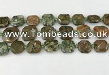 CNG8822 15.5 inches 16mm - 20mm faceted freeform rhyolite beads