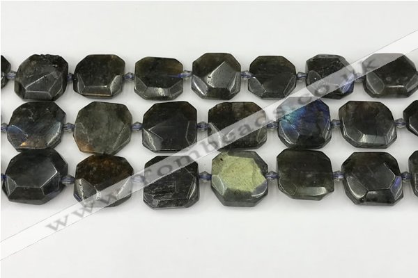 CNG8824 15.5 inches 16mm - 20mm faceted freeform labradorite beads