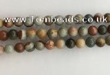 CNI372 15.5 inches 10mm round American picture jasper beads