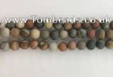 CNI378 15.5 inches 10mm round matte American picture jasper beads