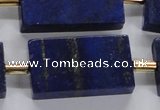 CNL1520 15.5 inches 20*30mm - 25*35mm rectangle lapis lazuli beads