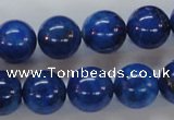 CNL231 15.5 inches 14mm round natural lapis lazuli beads wholesale