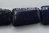 CNL675 15.5 inches 20*30mm trapezoid natural lapis lazuli beads
