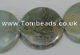 CNS235 15.5 inches 30mm flat round natural serpentine jasper beads