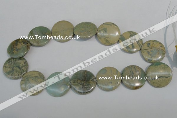 CNS235 15.5 inches 30mm flat round natural serpentine jasper beads
