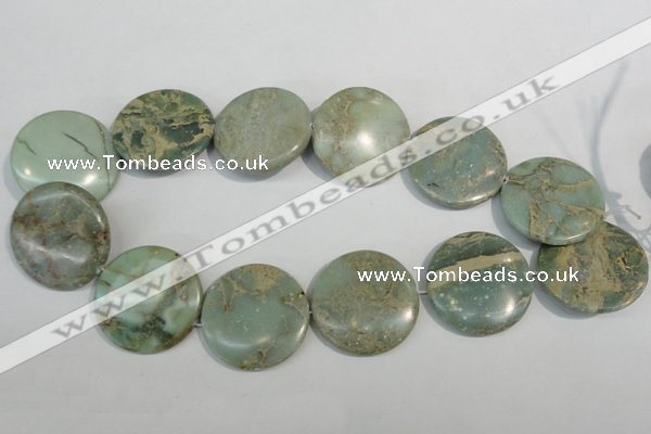 CNS236 15.5 inches 35mm flat round natural serpentine jasper beads