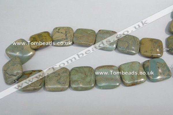 CNS252 15.5 inches 30*30mm square natural serpentine jasper beads