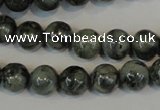 CNS401 15.5 inches 6mm round natural serpentine jasper beads