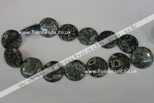 CNS425 15.5 inches 30mm flat round natural serpentine jasper beads