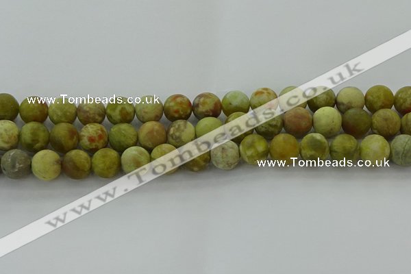 CNS653 15.5 inches 12mm round matte green dragon serpentine jasper beads