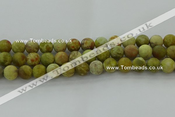 CNS654 15.5 inches 14mm round matte green dragon serpentine jasper beads