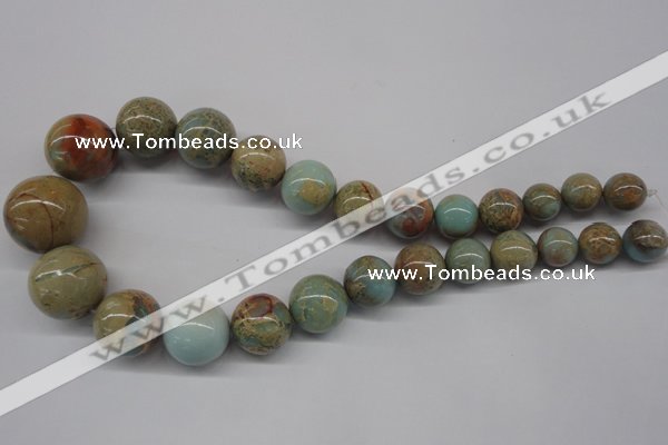 CNS70 15.5 inches 12mm - 24mm round natural serpentine jasper beads