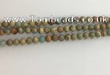 CNS701 15.5 inches 6mm round serpentine jasper beads wholesale