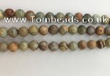 CNS703 15.5 inches 10mm round serpentine jasper beads wholesale