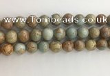 CNS704 15.5 inches 12mm round serpentine jasper beads wholesale