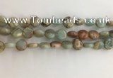 CNS720 15.5 inches 10mm flat round serpentine jasper beads wholesale