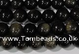 COB254 15.5 inches 10mm round golden obsidian beads wholesale