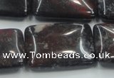 COJ06 15.5 inches 22*30mm rectangle blood jasper gemstone beads