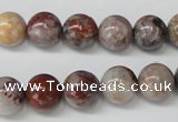 COJ204 15.5 inches 10mm round blood stone beads wholesale