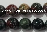 COJ305 15.5 inches 14mm round Indian bloodstone beads wholesale