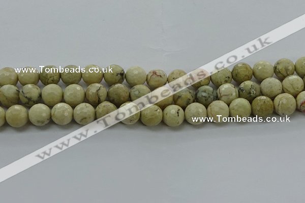 COP1473 15.5 inches 10mm faceted round African opal gemstone beads