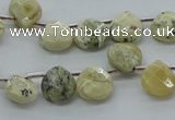 COP1482 15.5 inches 10*10mm briolette African opal gemstone beads