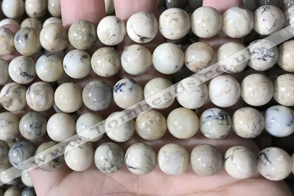 COP1664 15.5 inches 12mm round African opal beads wholesale