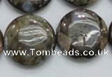 COP252 15.5 inches 25mm flat round natural grey opal gemstone beads