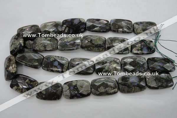 COP491 15.5 inches 20*30mm faceted rectangle natural grey opal beads