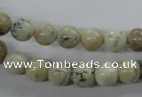 COP802 15.5 inches 8mm round natural African opal beads