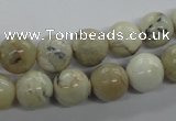 COP803 15.5 inches 10mm round natural African opal beads