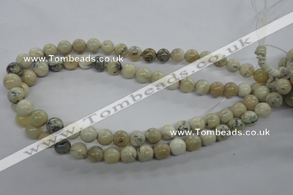 COP803 15.5 inches 10mm round natural African opal beads