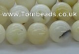 COP924 15.5 inches 12mm round white opal gemstone beads