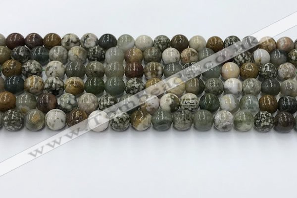 COS307 15.5 inches 8mm round ocean jasper beads wholesale