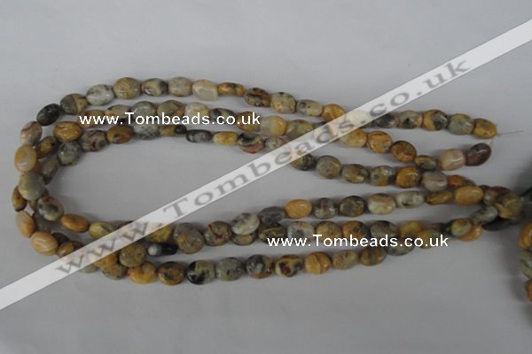 COV26 15.5 inches 8*10mm oval crazy lace agate beads wholesale