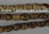 COV34 15.5 inches 8*10mm oval picture jasper beads wholesale