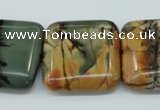 CPJ169 15.5 inches 22*30mm rectangle picasso jasper gemstone beads