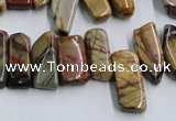 CPJ375 15.5 inches 8*14mm - 10*30mm picasso jasper chips beads