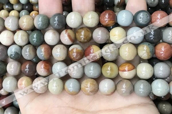 CPJ483 15.5 inches 10mm round polychrome jasper beads wholesale