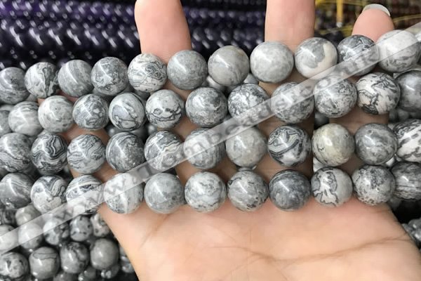 CPJ584 15.5 inches 12mm round grey picture jasper beads wholesale