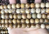 CPJ661 15.5 inches 10mm round picture jasper beads wholesale