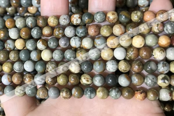 CPJ707 15.5 inches 6mm round rocky butte picture jasper beads