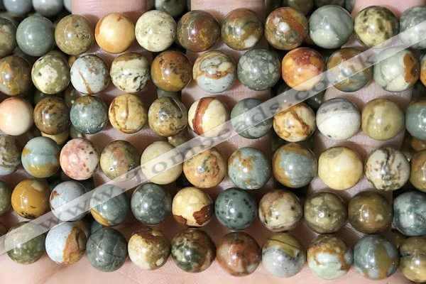 CPJ710 15.5 inches 12mm round rocky butte picture jasper beads