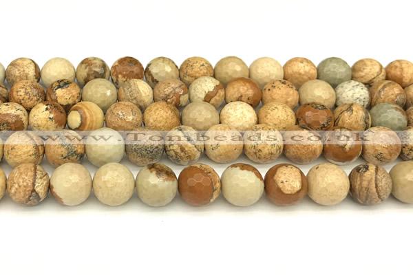 CPJ722 15 inches 10mm faceted round picture jasper beads