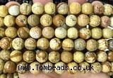 CPJ774 15 inches 10mm faceted round picture jasper beads wholesale