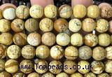 CPJ775 15 inches 12mm faceted round picture jasper beads wholesale