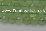 CPR311 15.5 inches 6mm round natural prehnite gemstone beads