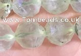 CPR378 15.5 inches 10mm faceted nuggets prehnite gemstone beads